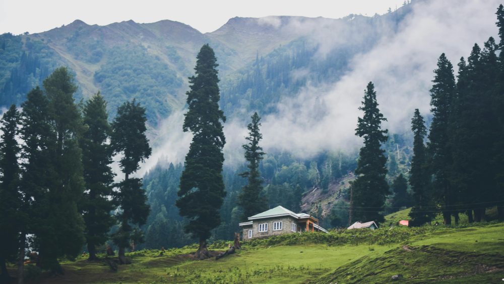 Kashmir Tour with world Tours