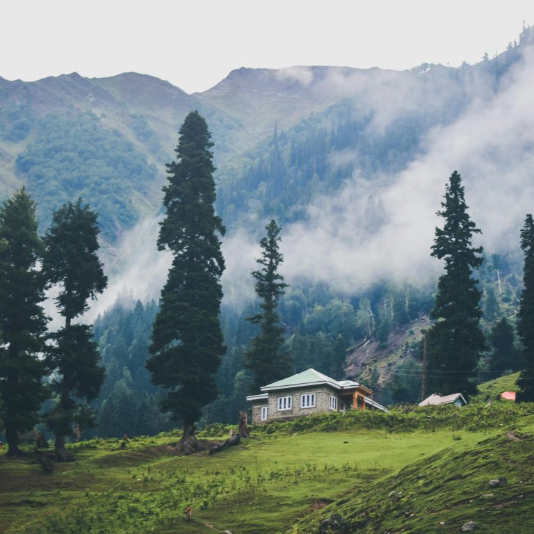 Kashmir Tour with world Tours