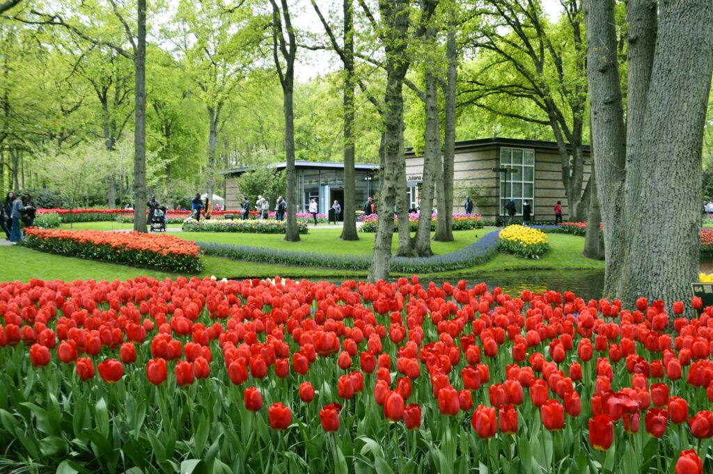 Beautiful experiences to have in Keukenhof Gardens