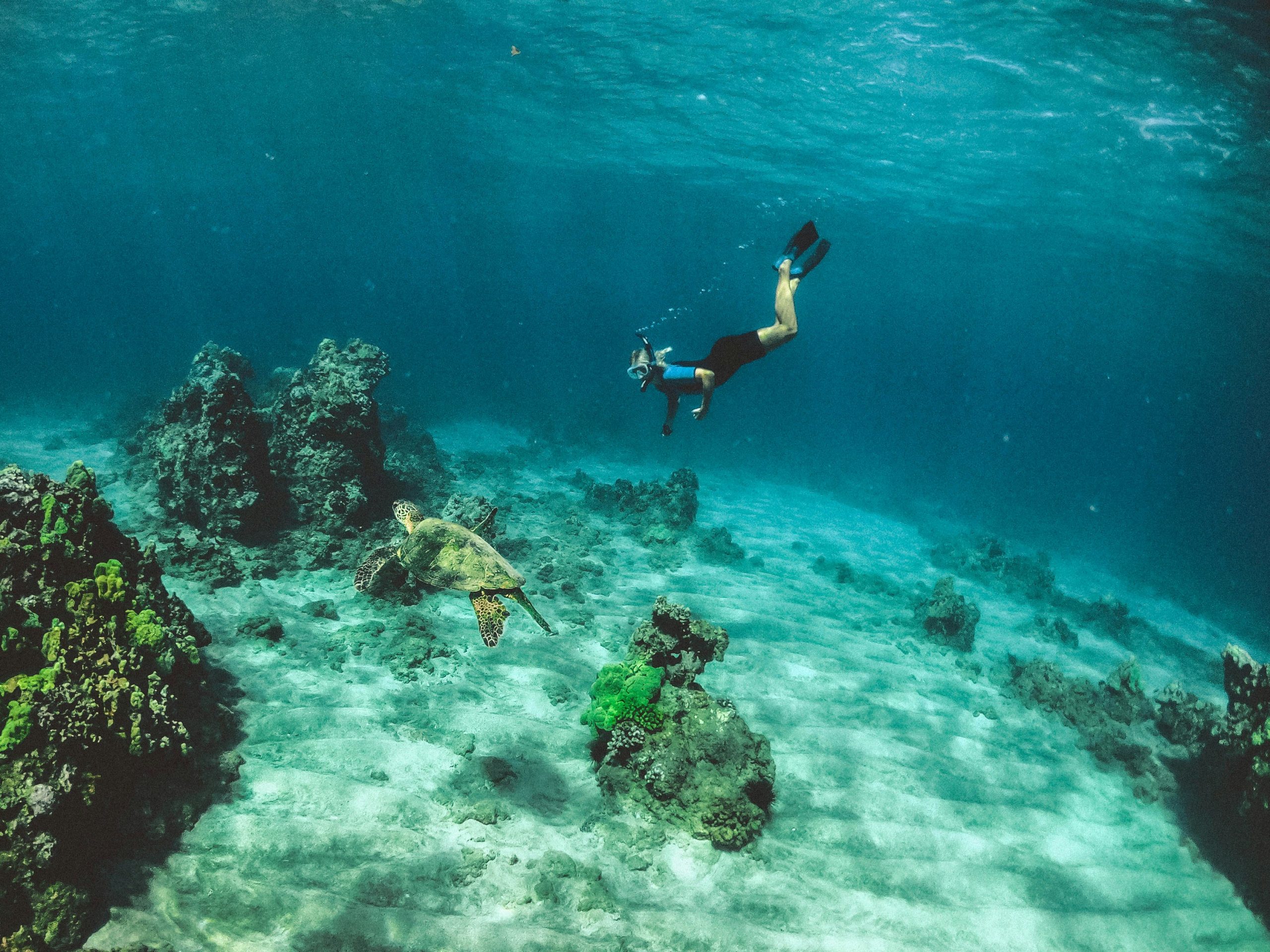 Maldives water activity