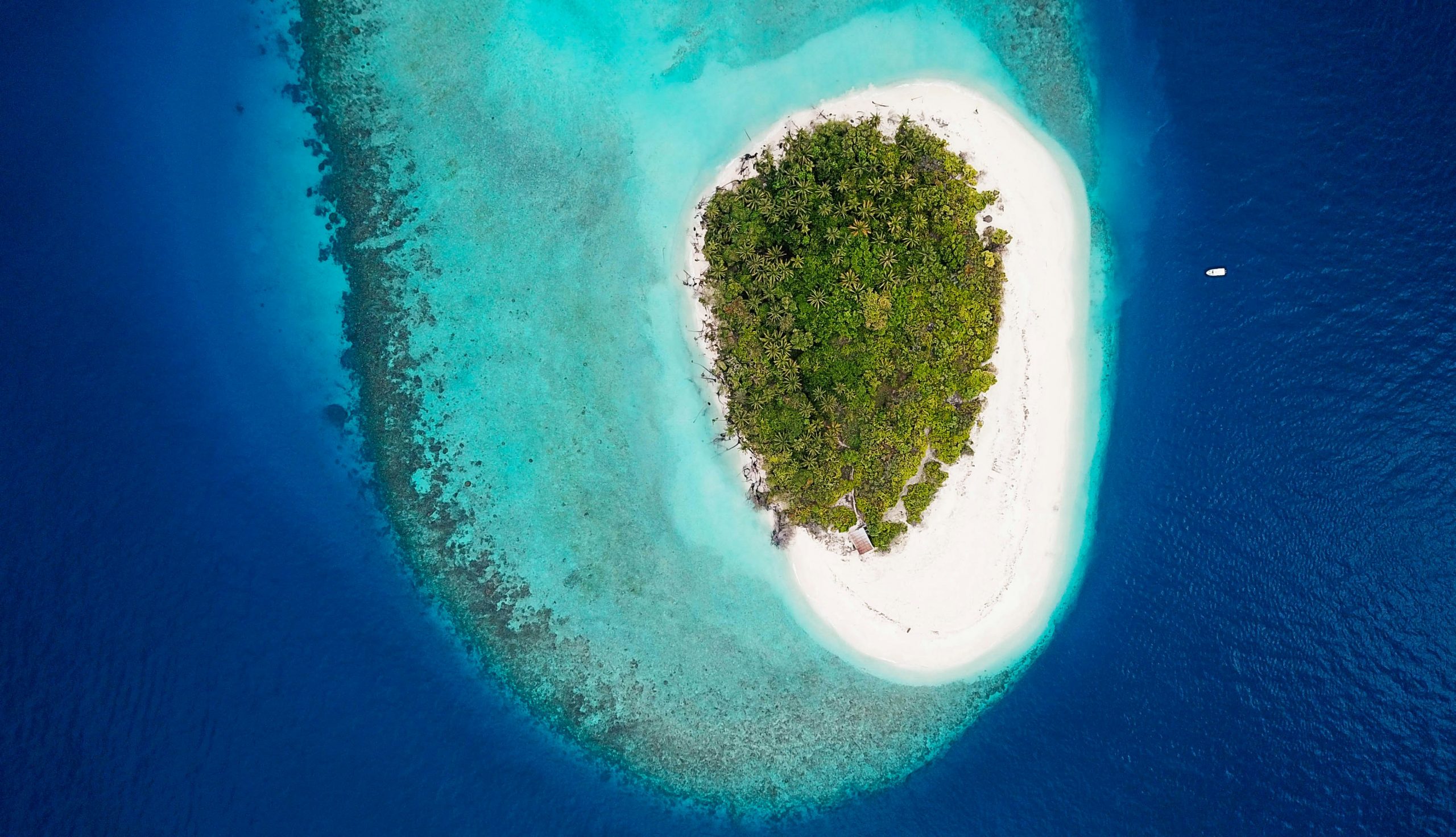 Maldives island bank