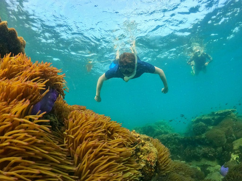phu quoc snorkeling