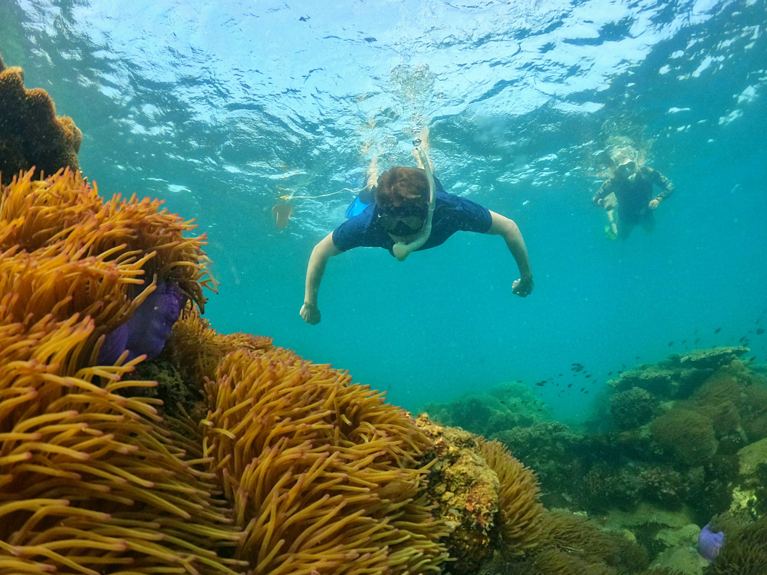 phu quoc snorkeling