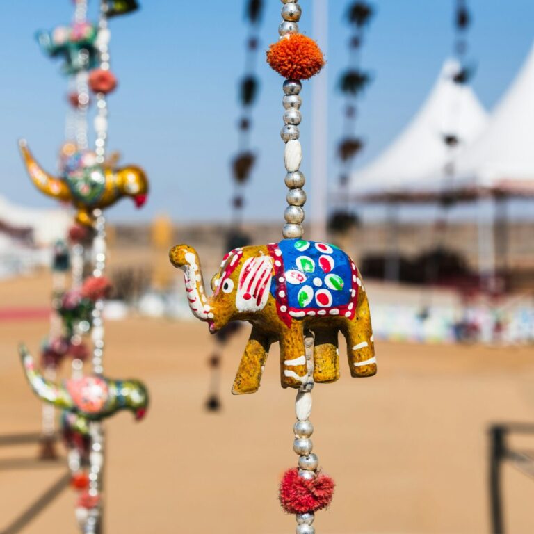 10 experiences to have in Rann of Kutch