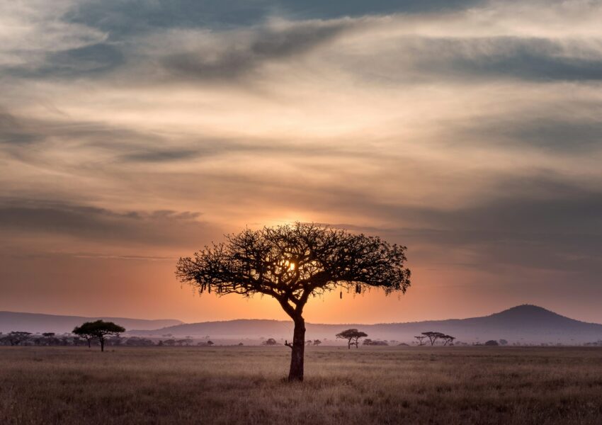 Experiences to have in Tanzania