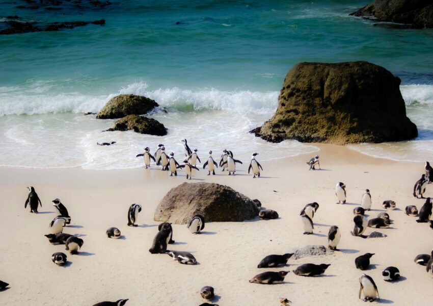 Places to visit in south Africa