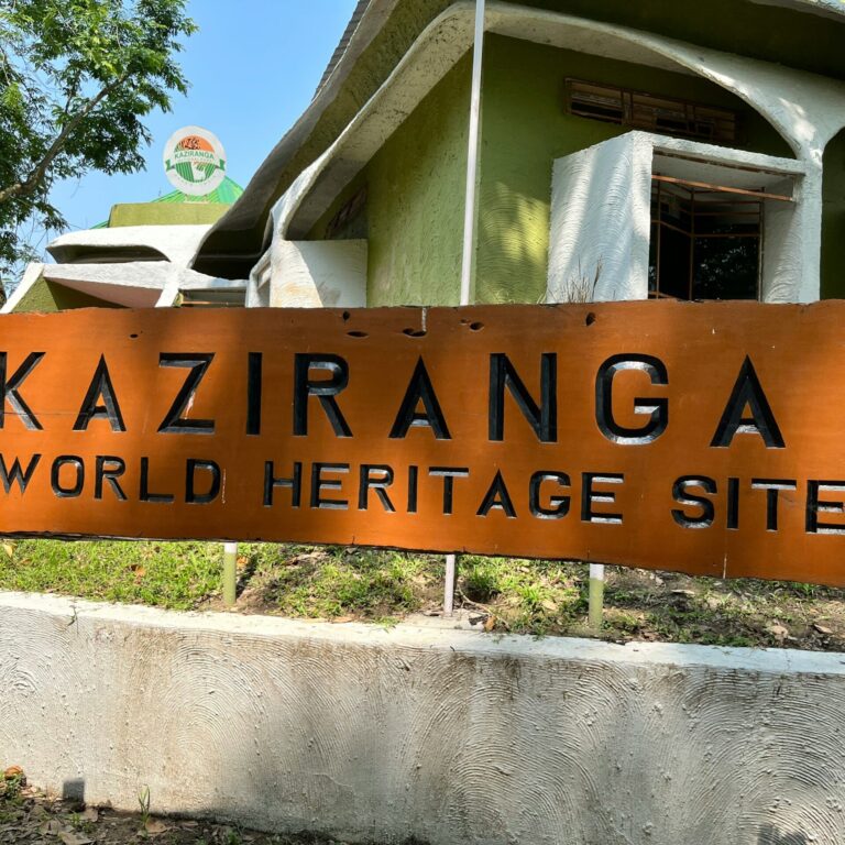 Kaziranga National Park in India