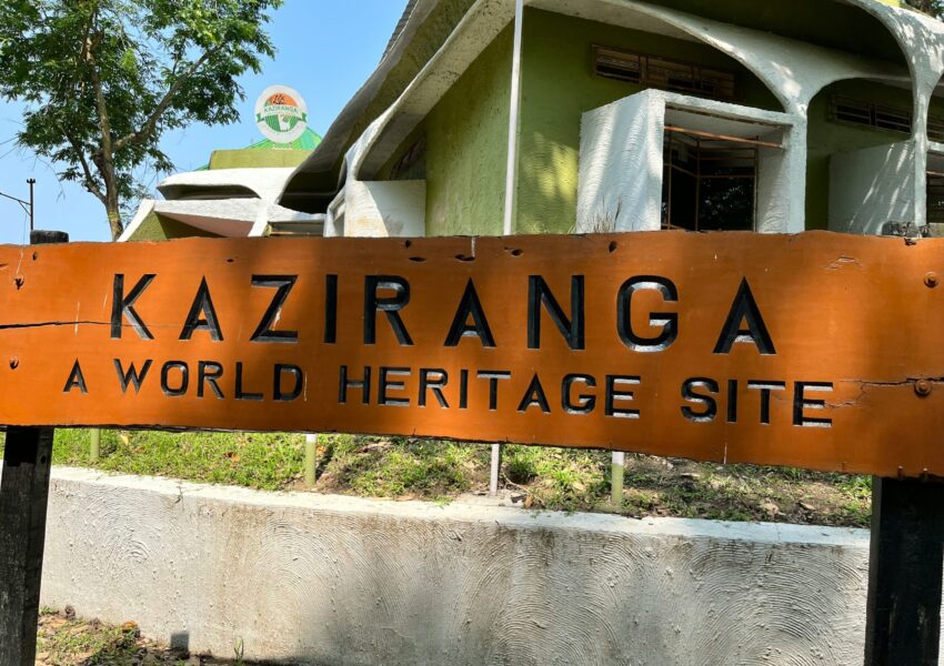 Kaziranga National Park in India
