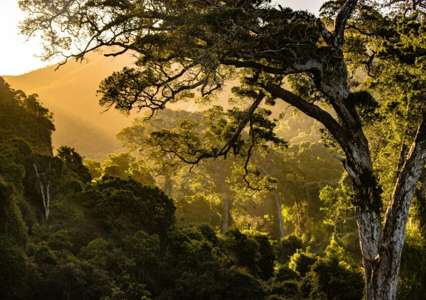 South Africa for Adventure Lovers