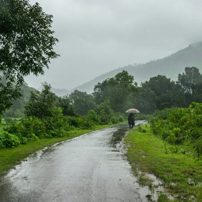 The western ghats of India